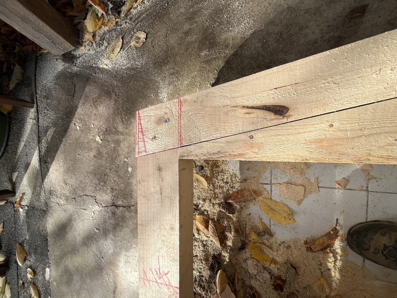 Gartenhaus-Dachstuhl: Holzkonstruktion von innen, Sparren und Pfetten sichtbar