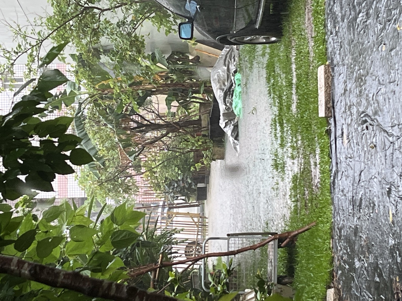 Sturm auf Lehmbaustelle Taiwan: umgestürzte Bäume und Überschwemmung